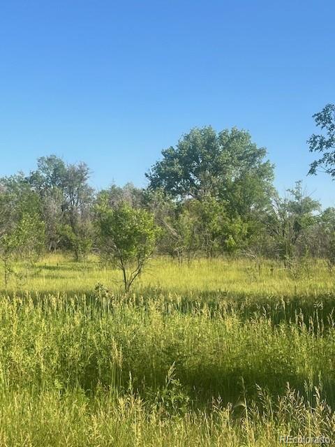 8523 Hygiene Road Longmont, CO 80503 - Photo 8 of 20 a view of lake view