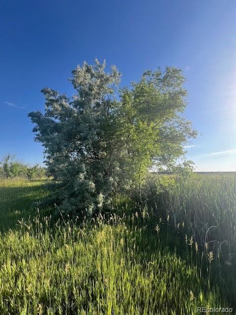8523 Hygiene Road Longmont, CO 80503 - Photo 9 of 20 a view of a lake with a yard