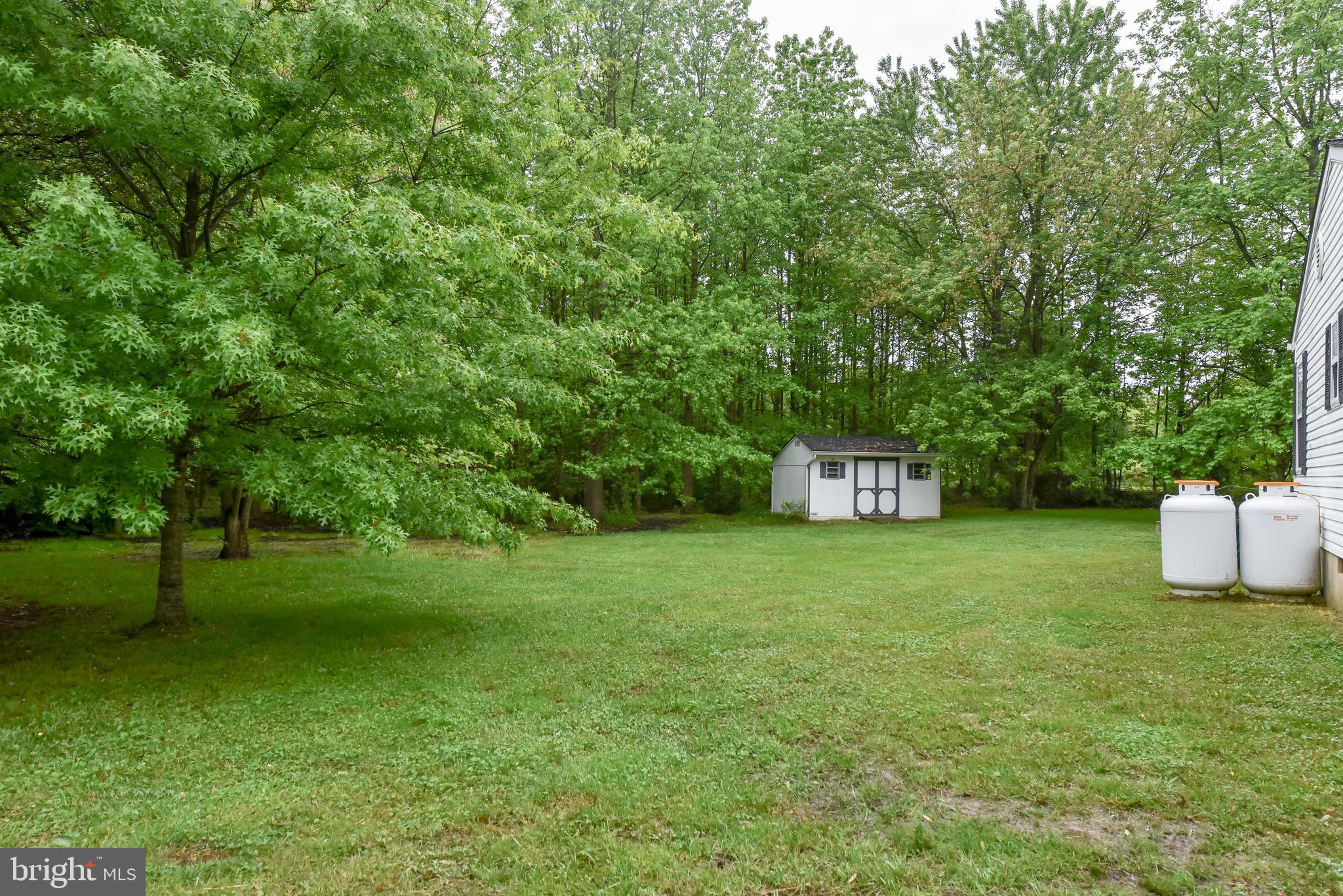 33 Reedy Lane Elkton, MD 21921 - Photo 23 of 24 Side lawn