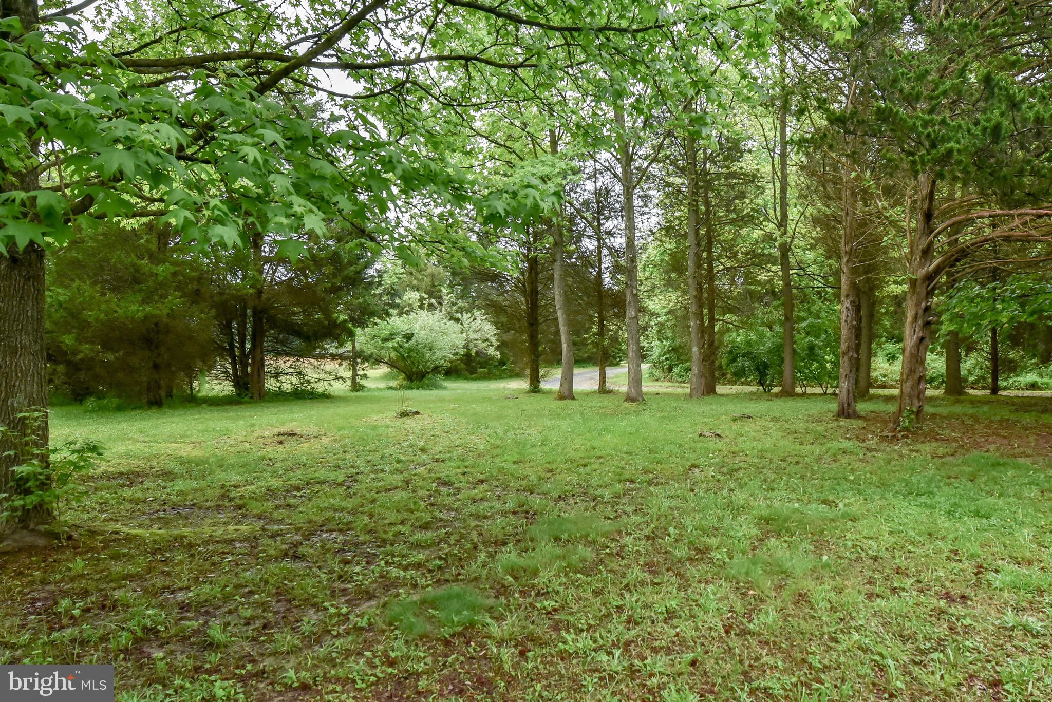 33 Reedy Lane Elkton, MD 21921 - Photo 24 of 24 Front lawn