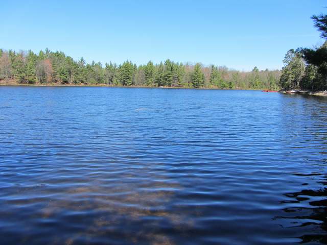 Lot 8 Branches Road Rhinelander, WI 54501 - Photo 8 of 11 Gallery Image 8