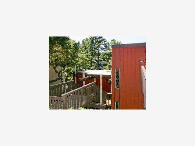 337 Middle Road Belmont, CA 94002 - Photo 1 of 9 Gallery Image 1