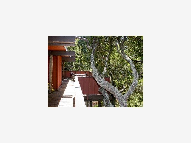 337 Middle Road Belmont, CA 94002 - Photo 9 of 9 Gallery Image 9