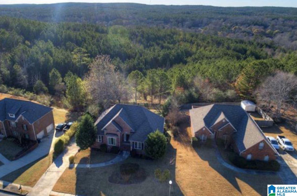 219 Grande View Parkway Alabaster, AL 35114 - Photo 38 of 43