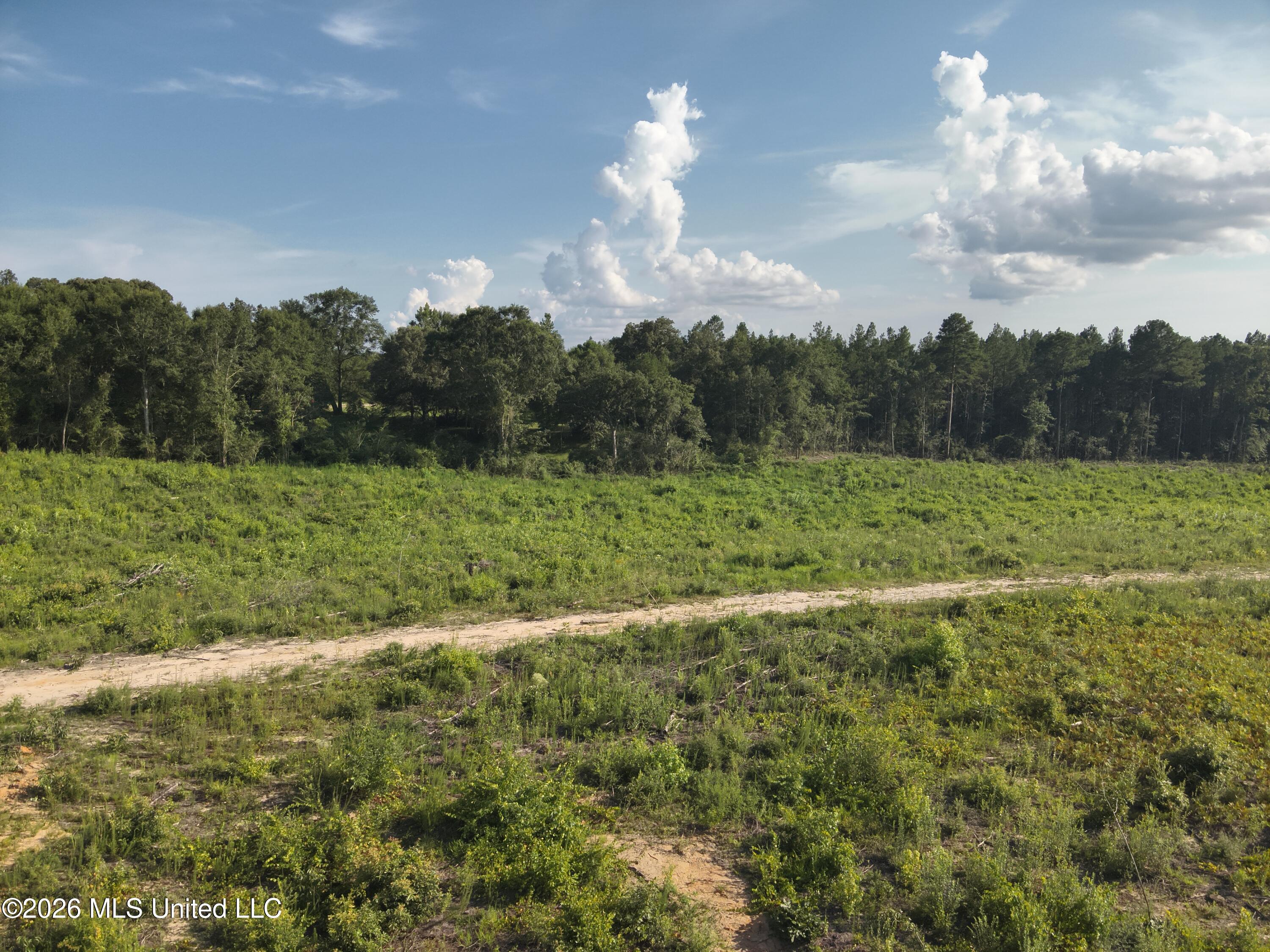 Oscar Bell Road Waynesboro, MS 39367 - Photo 11 of 23 DJI_20260710173850_0023_V