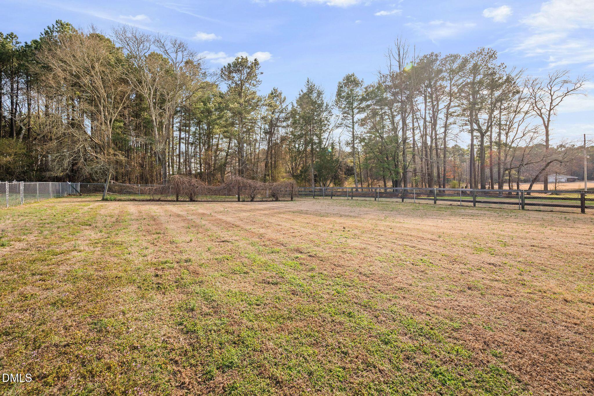 5223 Center Church Road Sanford, NC 27330 - Photo 40 of 54 Backyard