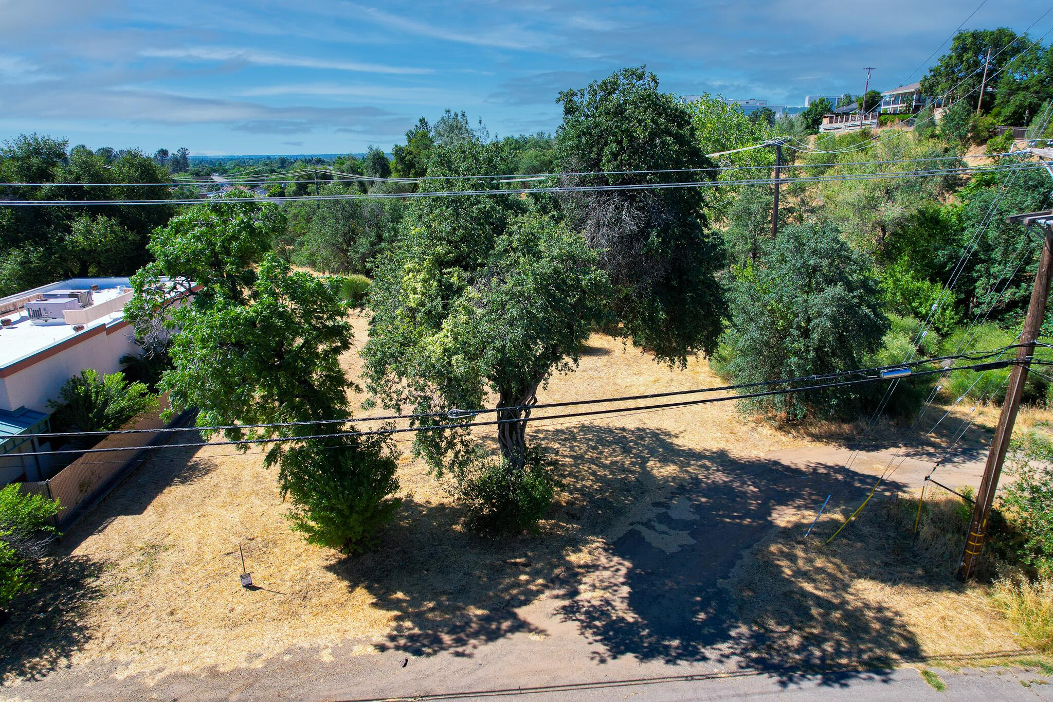 1875 Sonoma Street Redding, CA 96001 - Photo 3 of 9 a view of a yard