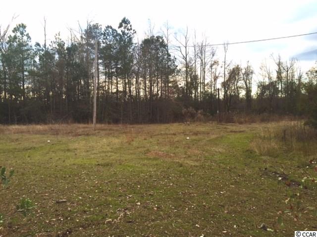 3132 Clearfield Road Galivants Ferry, SC 29544 - Photo 2 of 3 Gallery Image 2