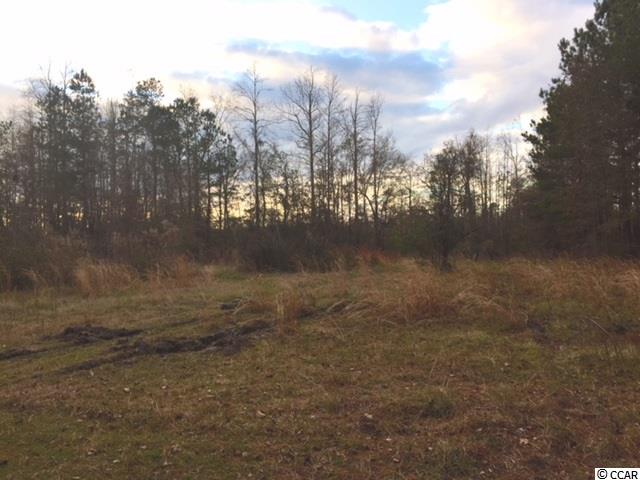3132 Clearfield Road Galivants Ferry, SC 29544 - Photo 3 of 3 Gallery Image 3
