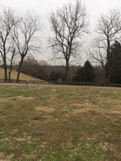 7431 Ruby Keith Road White House, TN 37188 - Photo 14 of 16