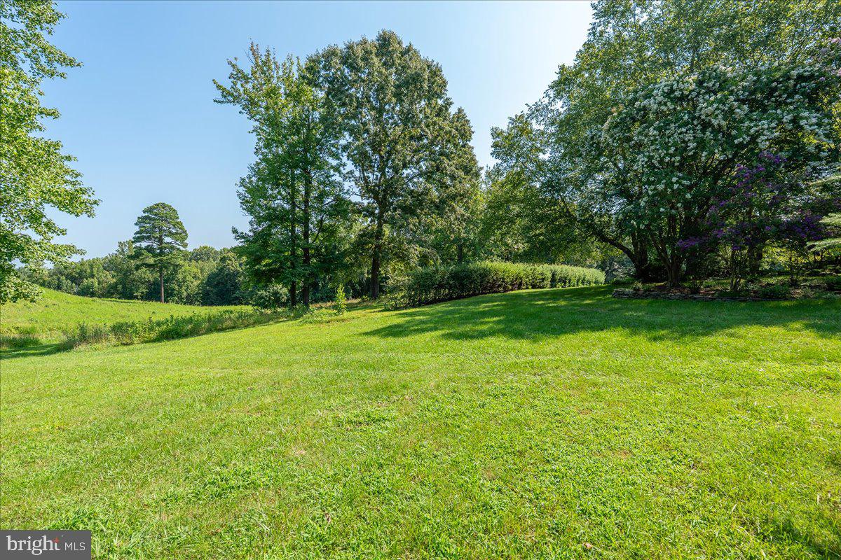 15497 Ridge Road King George, VA 22485 - Photo 86 of 108 Gallery Image 86