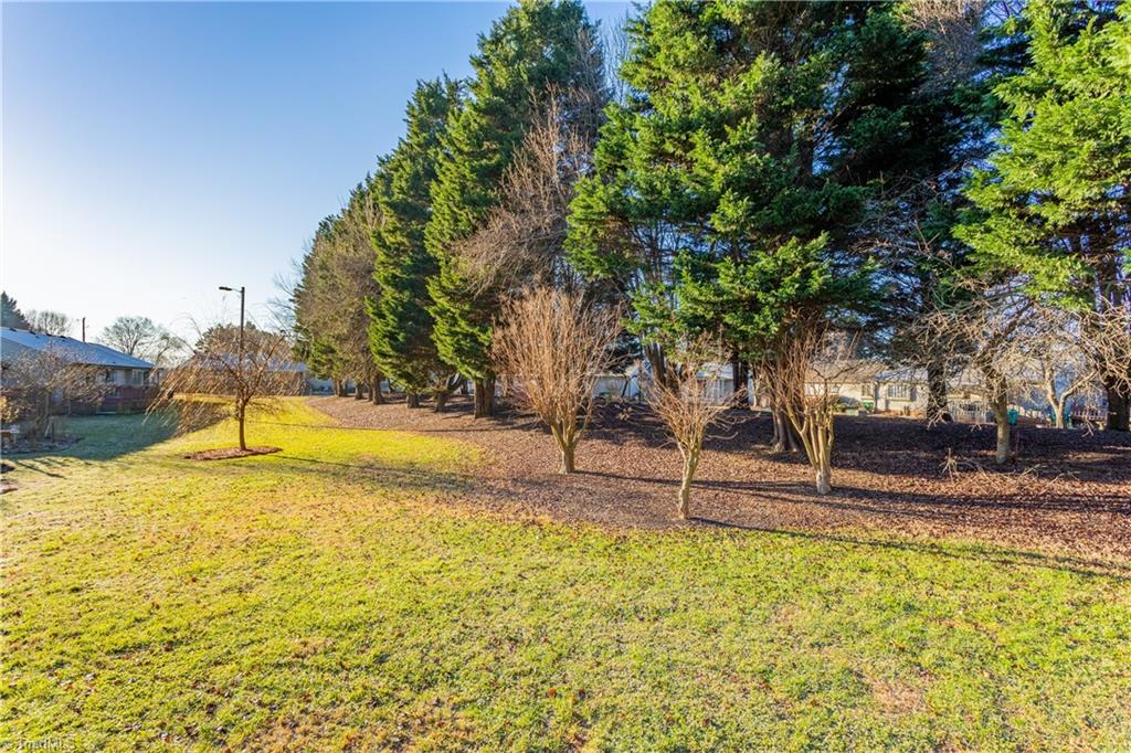 169 B Old Mill Road, Unit B High Point, NC 27265 - Photo 41 of 43 Gallery Image 41