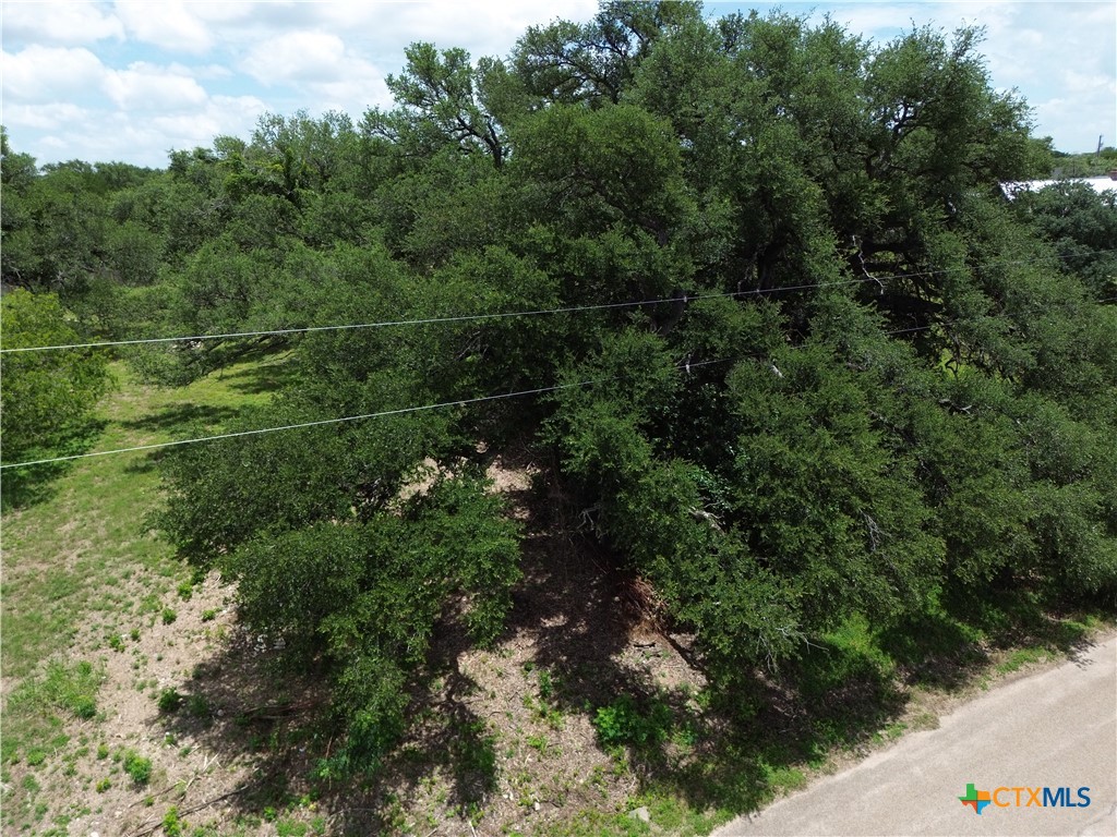 731 Santa Maria Road Salado, TX 76571 - Photo 5 of 15