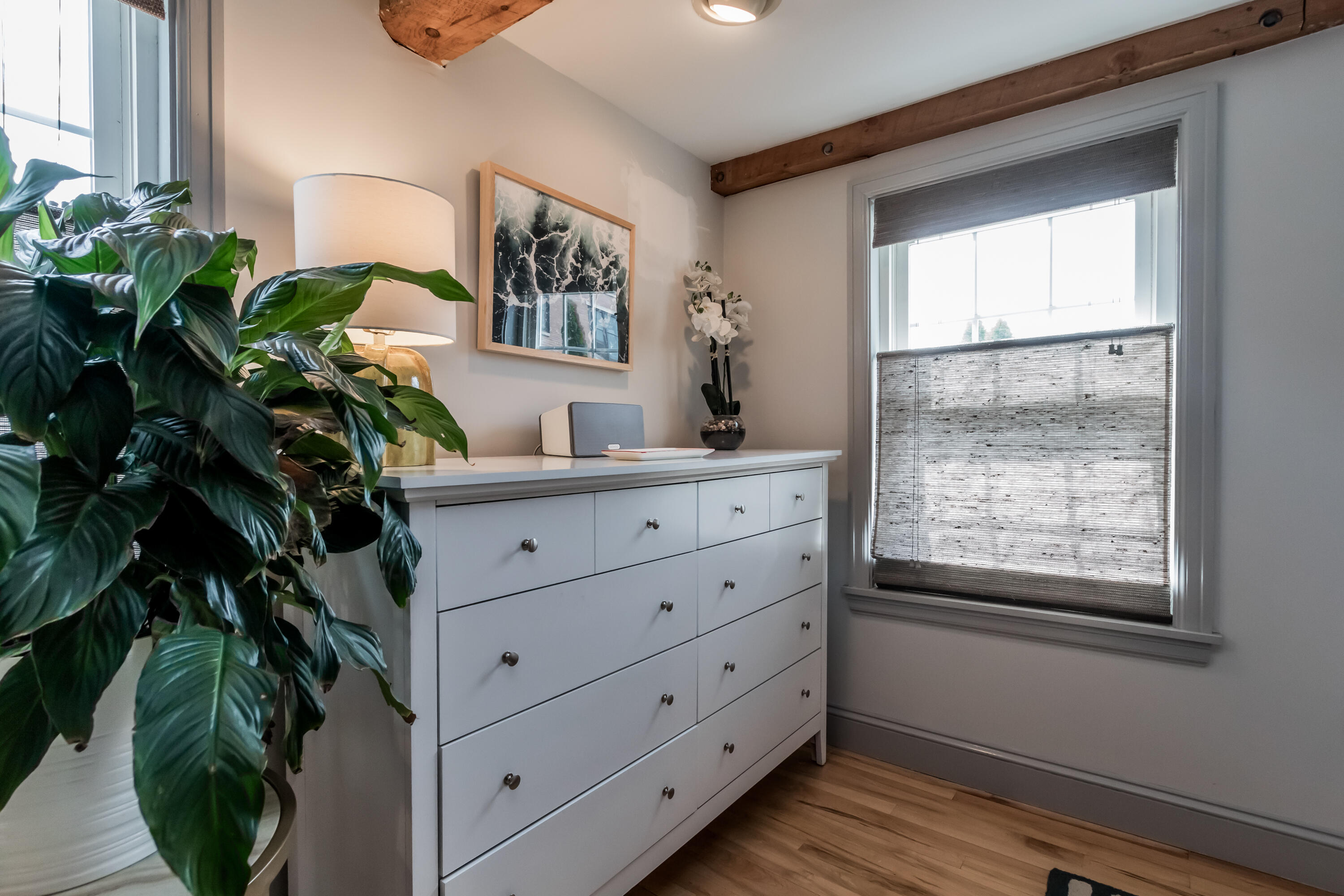 50 Maple Street Portland, ME 04101 - Photo 58 of 78 20230623MD-71093