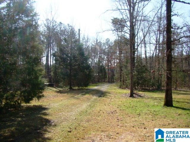 559 Holland-Finley Road Jacksonville, AL 36265 - Photo 9 of 37