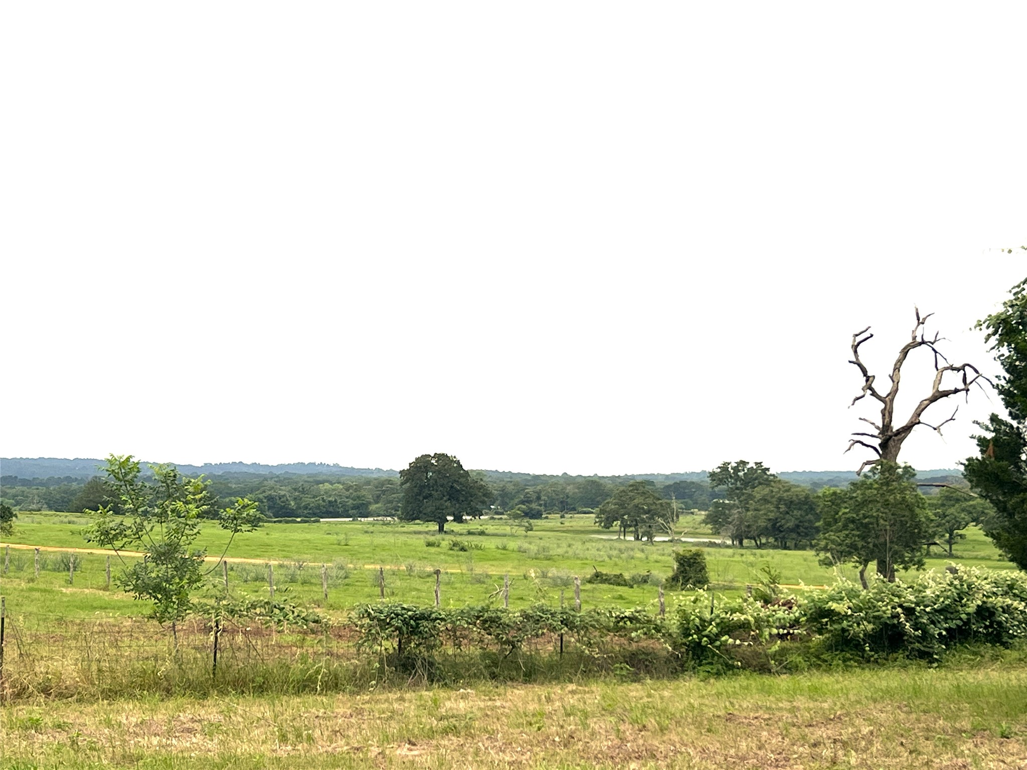 160 Rosanky Cattle Company Road, Unit R Smithville, TX 78957 - Photo 1 of 19 a view of a lake with houses