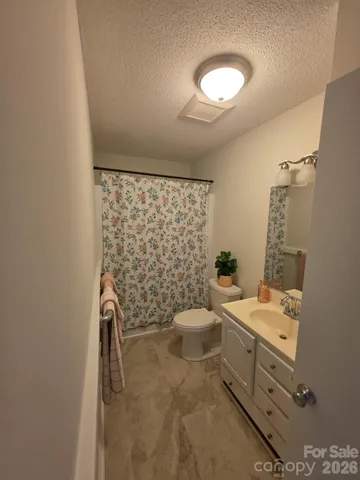 a bathroom with a sink a toilet and shower curtain