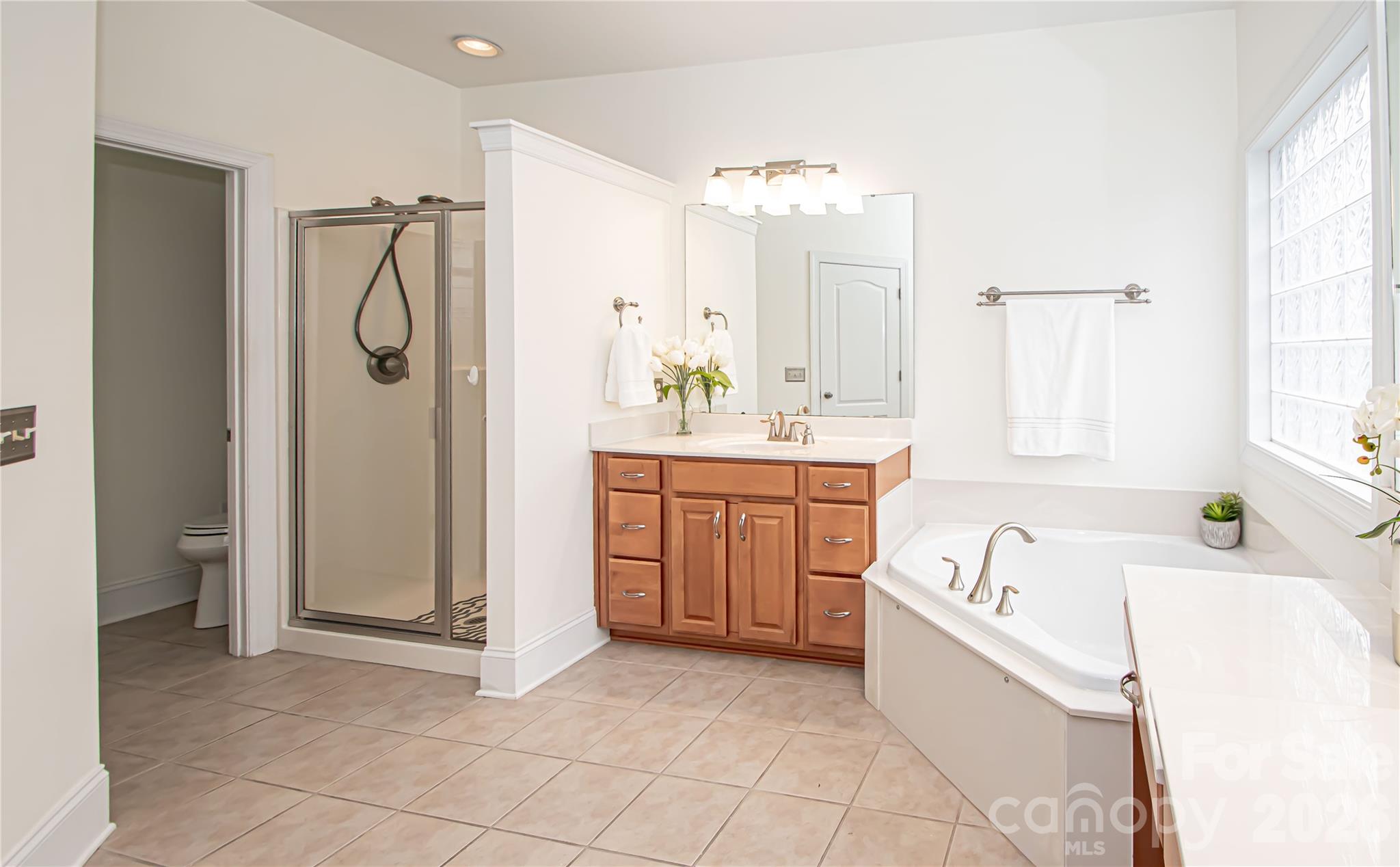 7900 Honey Fig Road Charlotte, NC 28277 - Photo 27 of 48 a bathroom with a tub sink and mirror