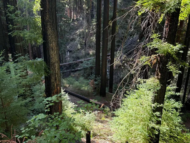 $95,000 | 449 Band Road, Boulder Creek, CA 95006