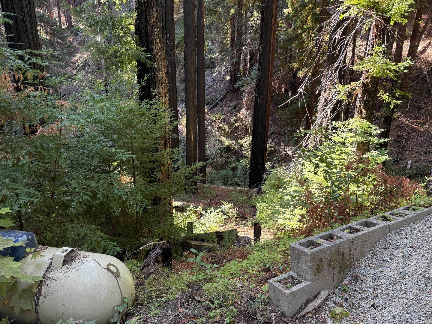 449 Band Road Boulder Creek, CA 95006 - Photo 4 of 5 a backyard of a house with lots of green space