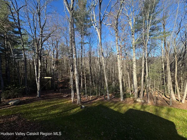 a view of a back yard