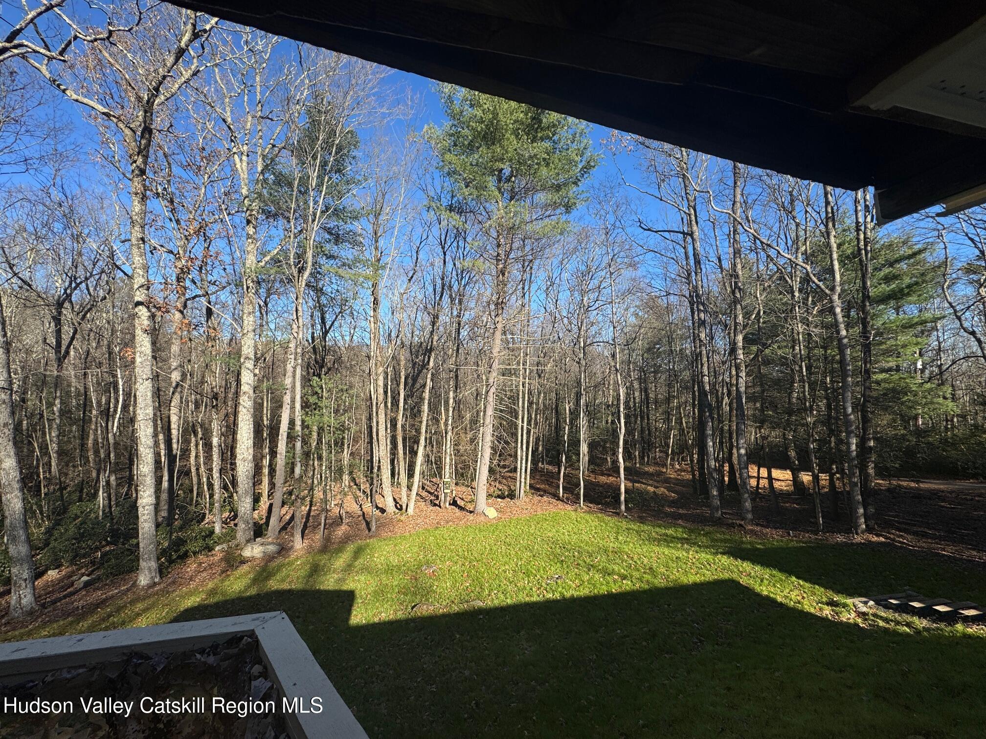 50 Harris Road Kerhonkson, NY 12446 - Photo 22 of 28 a view of a back yard