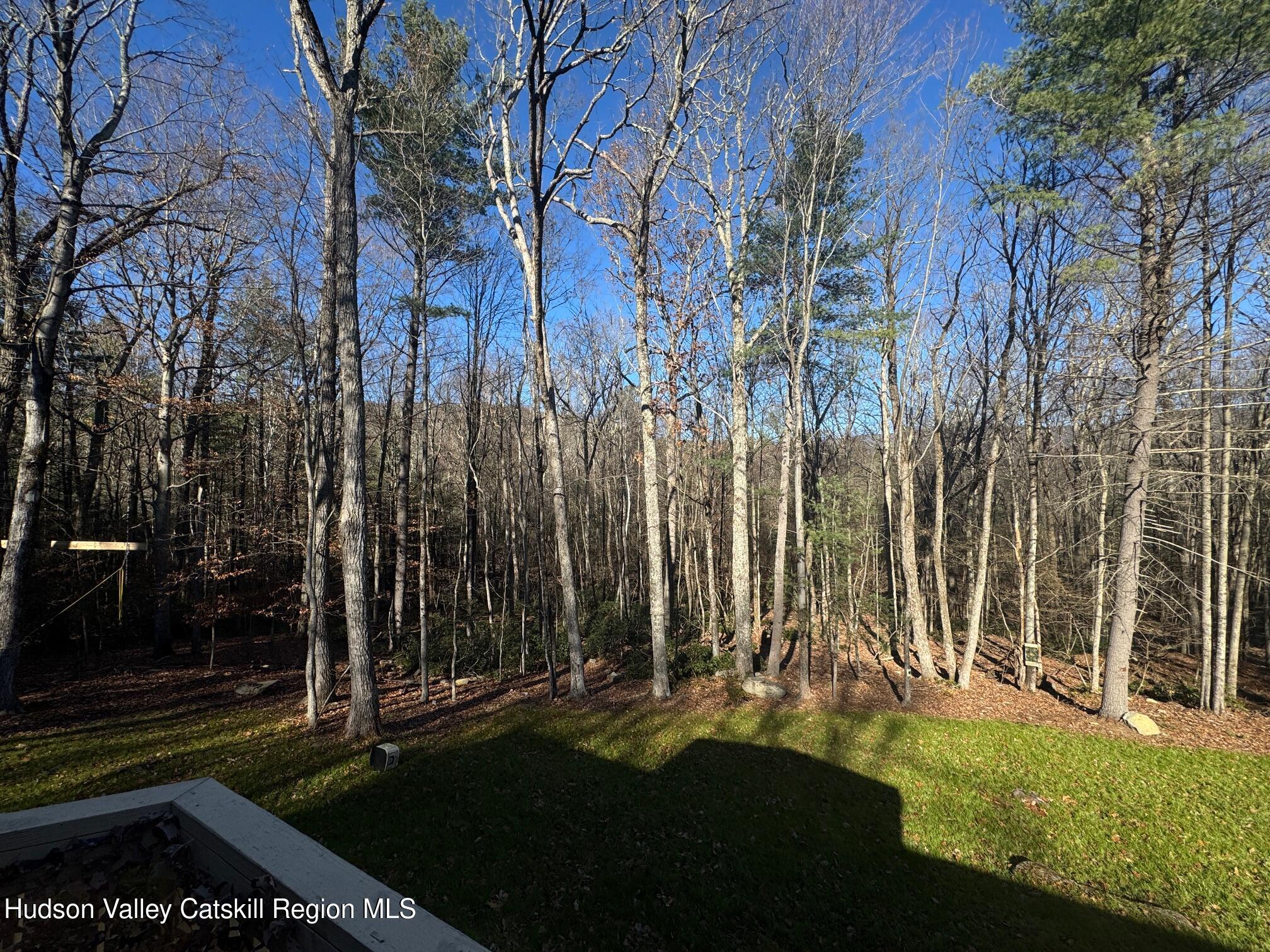 50 Harris Road Kerhonkson, NY 12446 - Photo 23 of 28 a view of yard