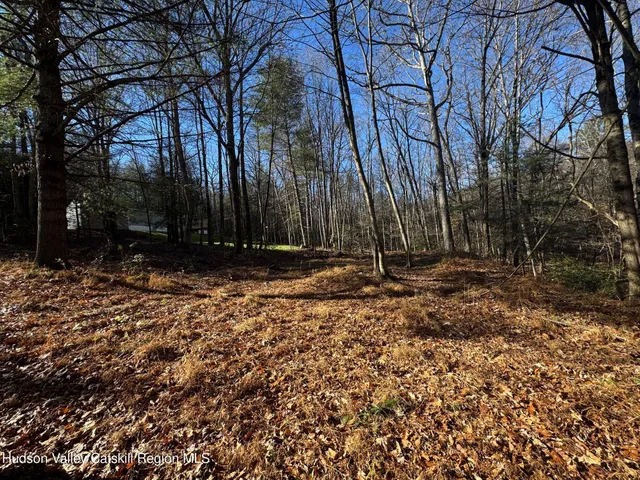 a view of backyard with green space