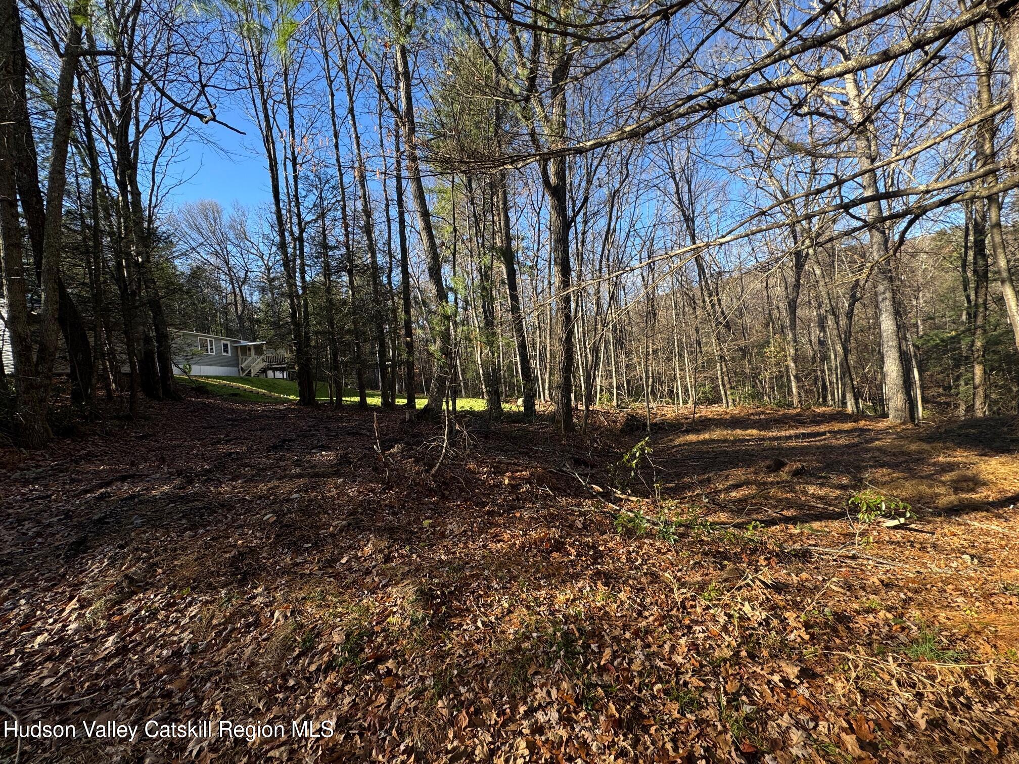 50 Harris Road Kerhonkson, NY 12446 - Photo 28 of 28 a view of backyard with green space