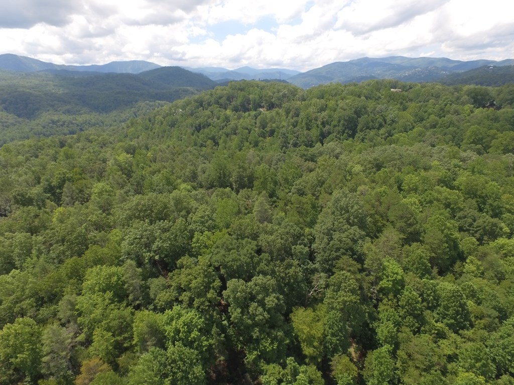 0 Bruce Road Gatlinburg, TN 37738 - Photo 5 of 11