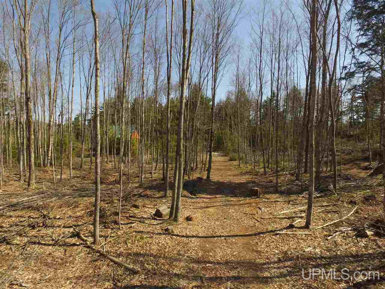 N2510 Co Rd Kch Big Bay, MI 49808 - Photo 10 of 39
