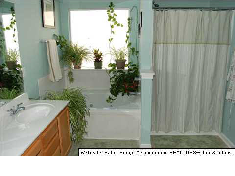 10121 Sandhill Court Baton Rouge, LA 70809 - Photo 8 of 12