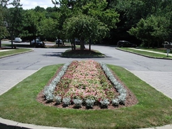 4 Walden Drive, Unit 19 Natick, MA 01760 - Photo 39 of 42 a view of park with tree