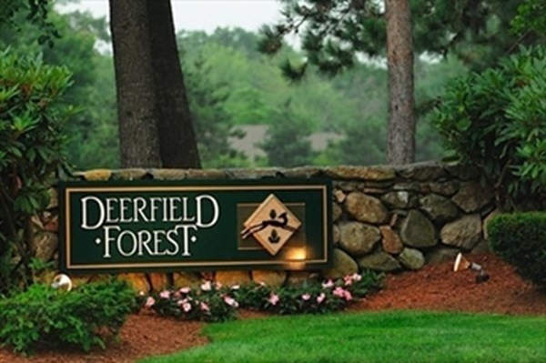 4 Walden Drive, Unit 19 Natick, MA 01760 - Photo 40 of 42 a view of outdoor space with garden and trees