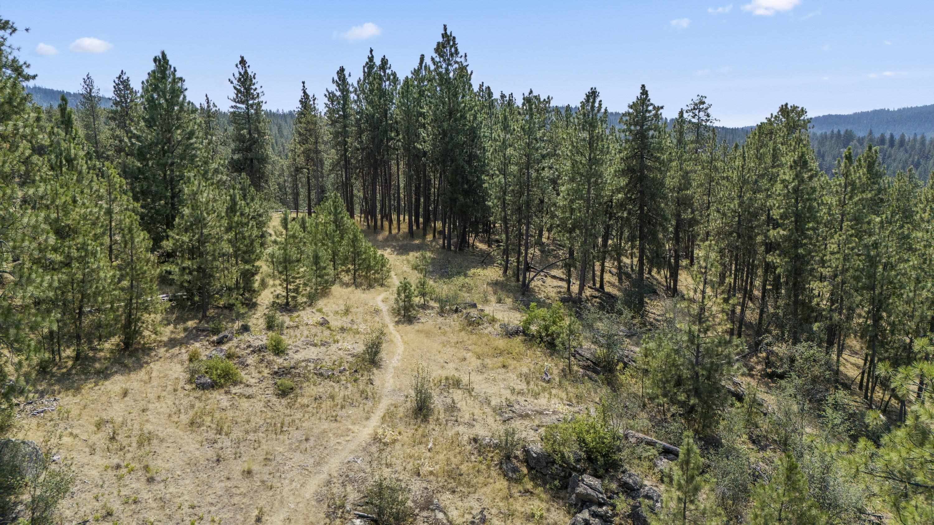 13007 East Chester Ridge Lane, Unit LOT 13 Spokane, WA 99206 - Photo 17 of 31