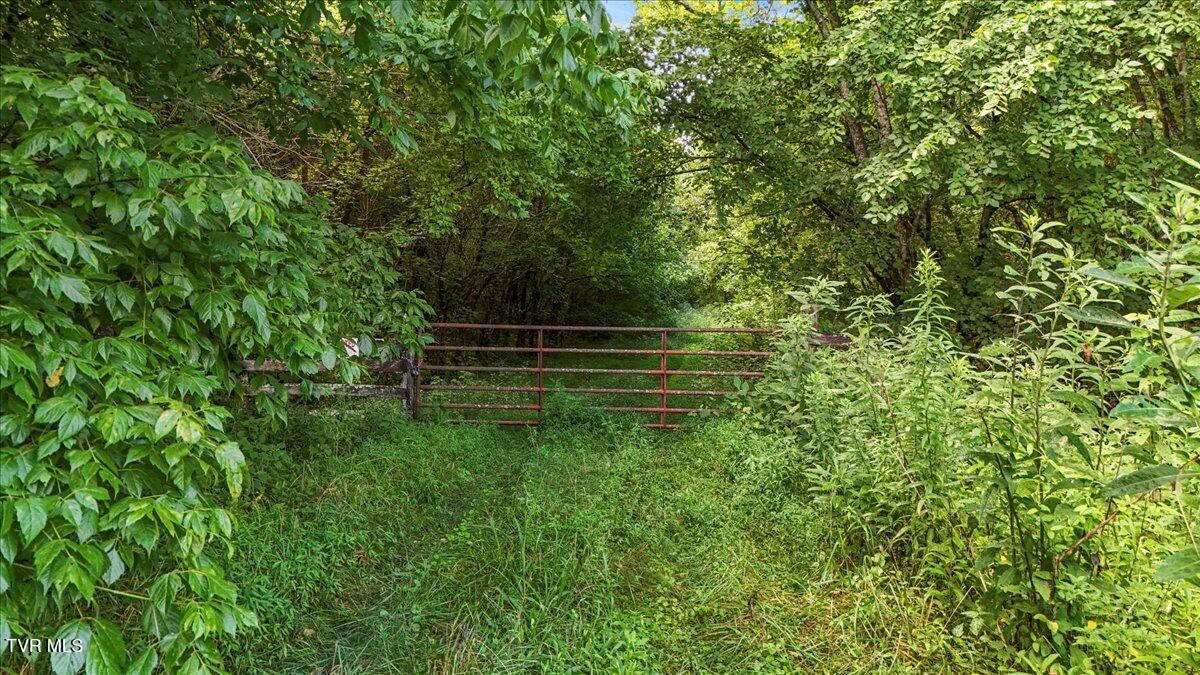 Tbd Jackson Cemetery Road Chuckey, TN 37641 - Photo 3 of 29 03-DJI_20250719172845_0390_D