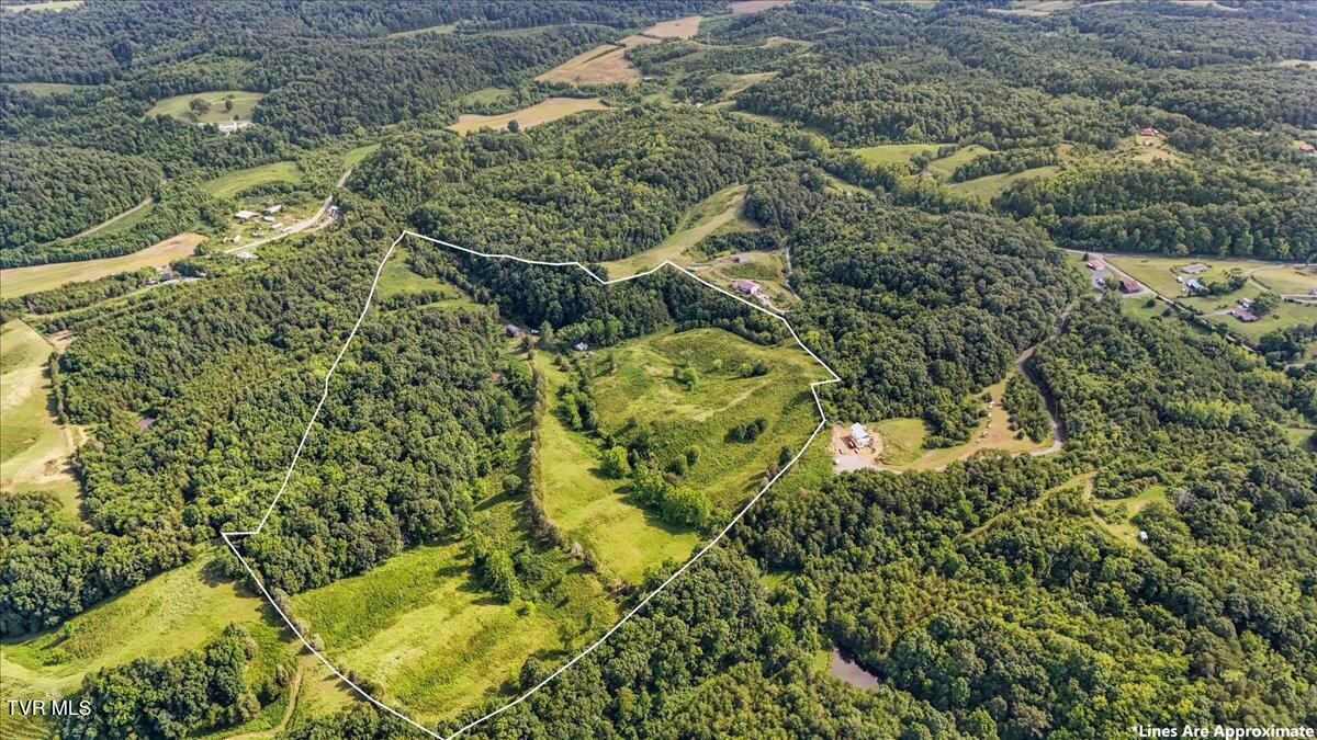 Tbd Jackson Cemetery Road Chuckey, TN 37641 - Photo 10 of 29 10-DJI_20250719171416_0344_D2