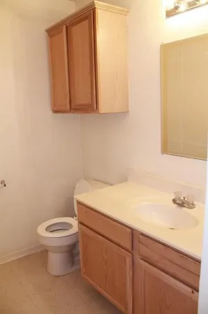 a bathroom with a sink and a toilet