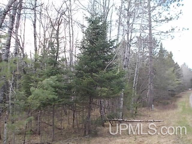 T-wi North Lake Road Florence, WI 54121 - Photo 2 of 6