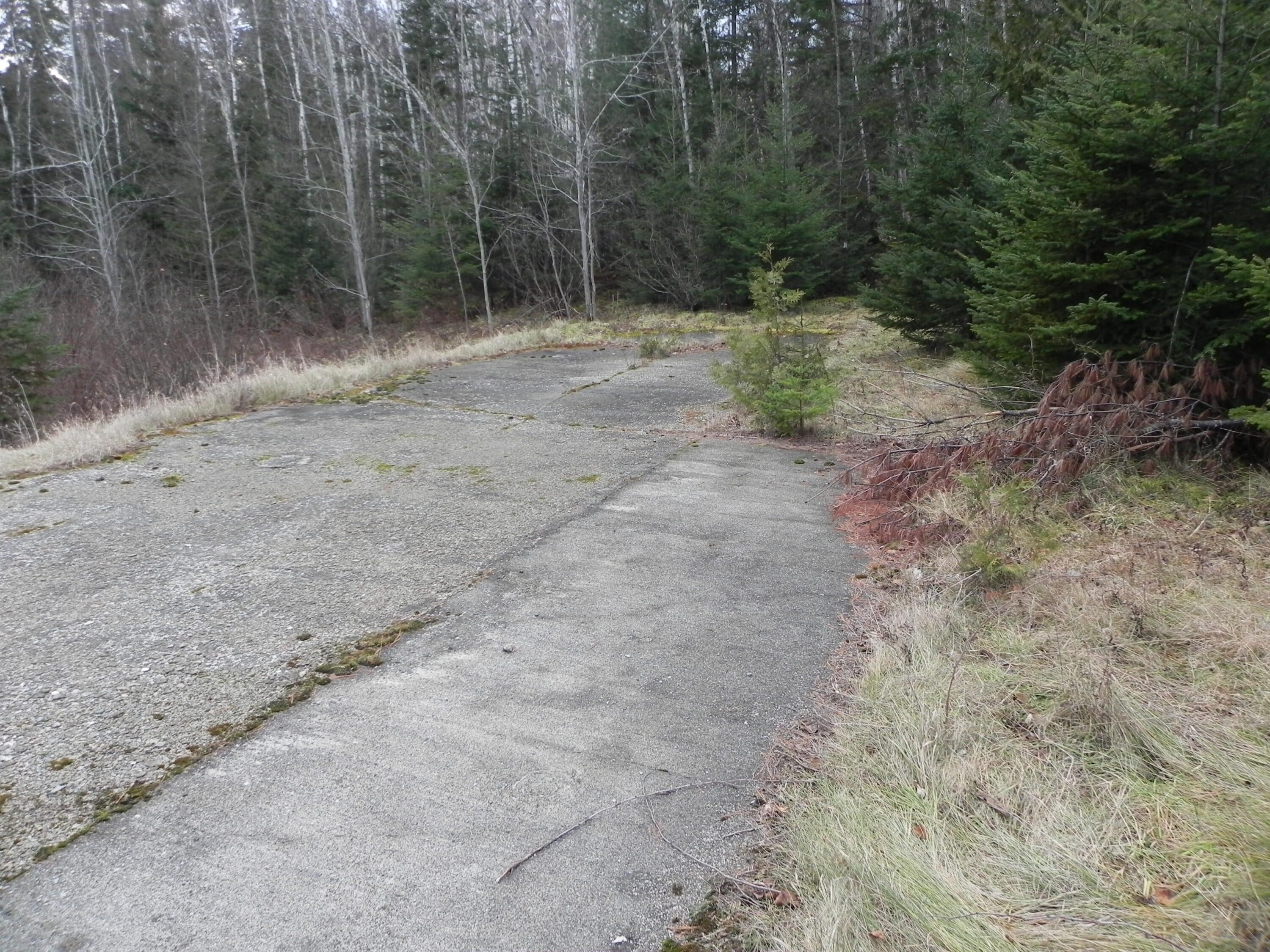 749 Us Route, Unit 1 Perry, ME 04667 - Photo 3 of 10 DSCN9979