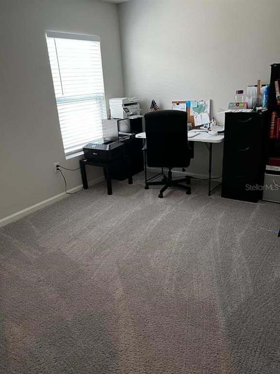 1773 Nebraska Loop Sumterville, FL 33585 - Photo 20 of 44