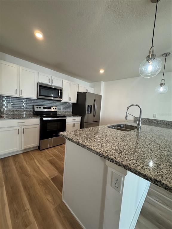 1773 Nebraska Loop Sumterville, FL 33585 - Photo 3 of 44