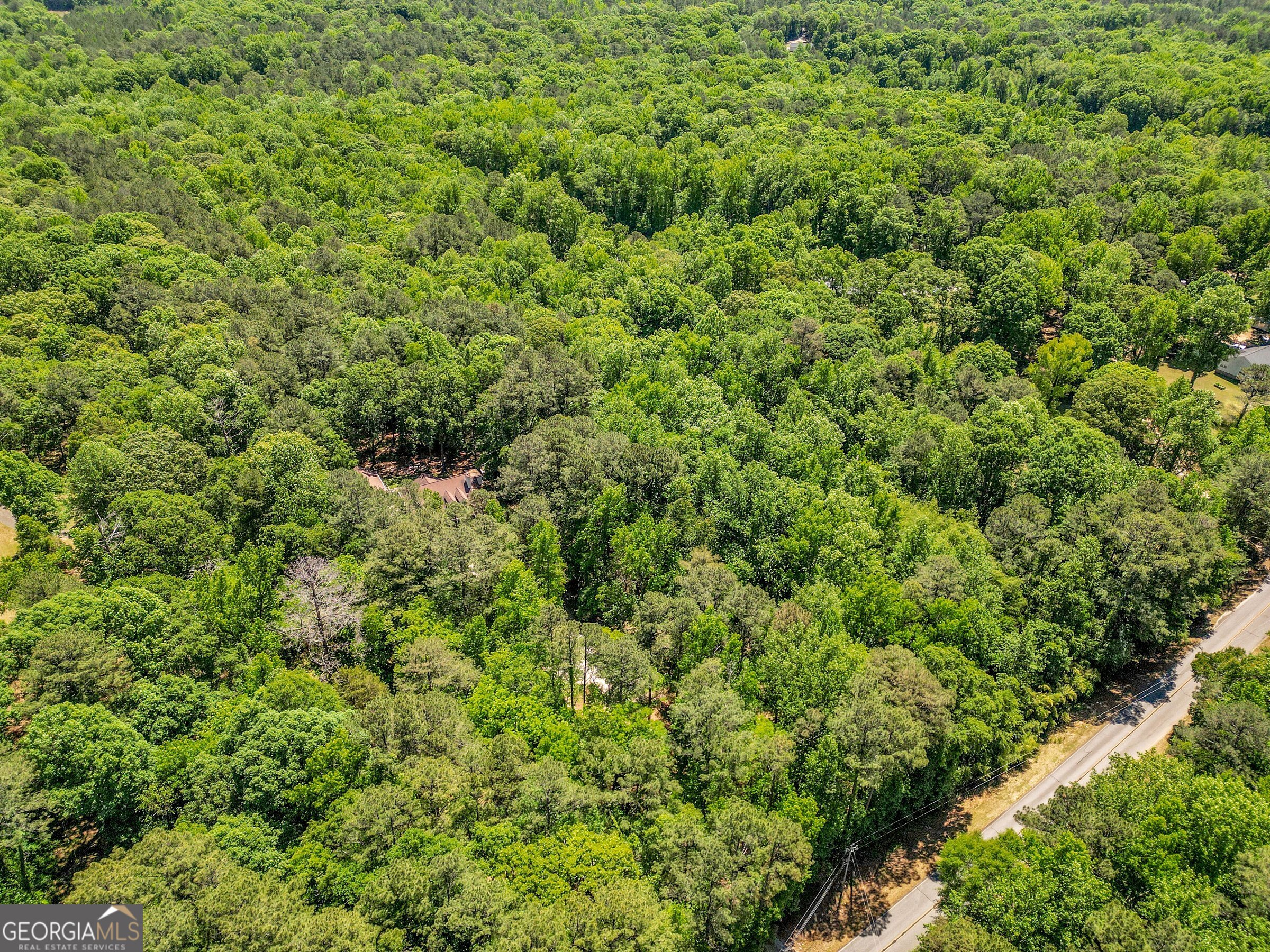 1136 Dolly Nixon Road Senoia, GA 30276 - Photo 6 of 18