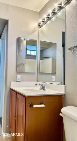 a bathroom with a sink a mirror and a toilet