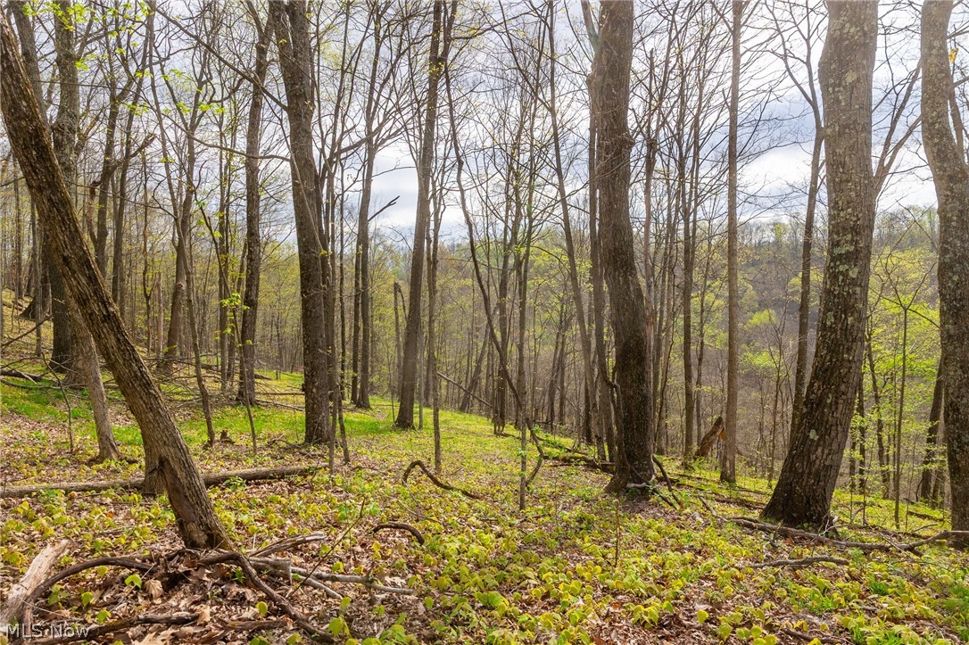 2115 Goss Fork Road, Unit 1 Whipple, OH 45788 - Photo 36 of 38