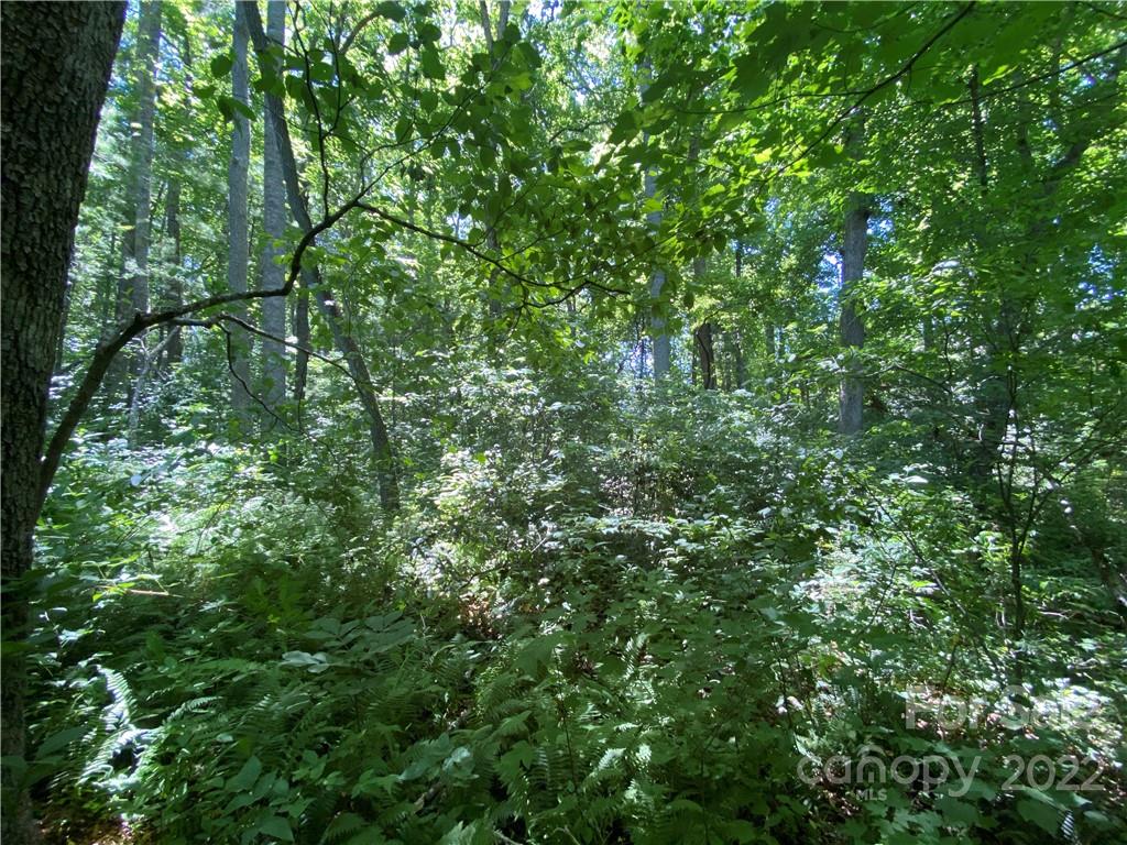 0 Pattys Chapel Road Fletcher, NC 28732 - Photo 3 of 29 Gallery Image 3