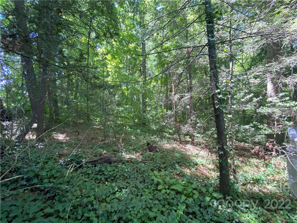 0 Pattys Chapel Road Fletcher, NC 28732 - Photo 4 of 29 Gallery Image 4