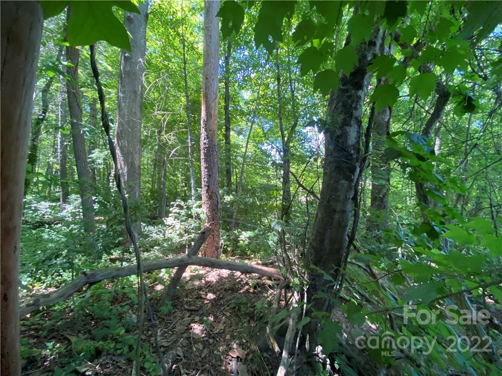 0 Pattys Chapel Road Fletcher, NC 28732 - Photo 5 of 29 Gallery Image 5