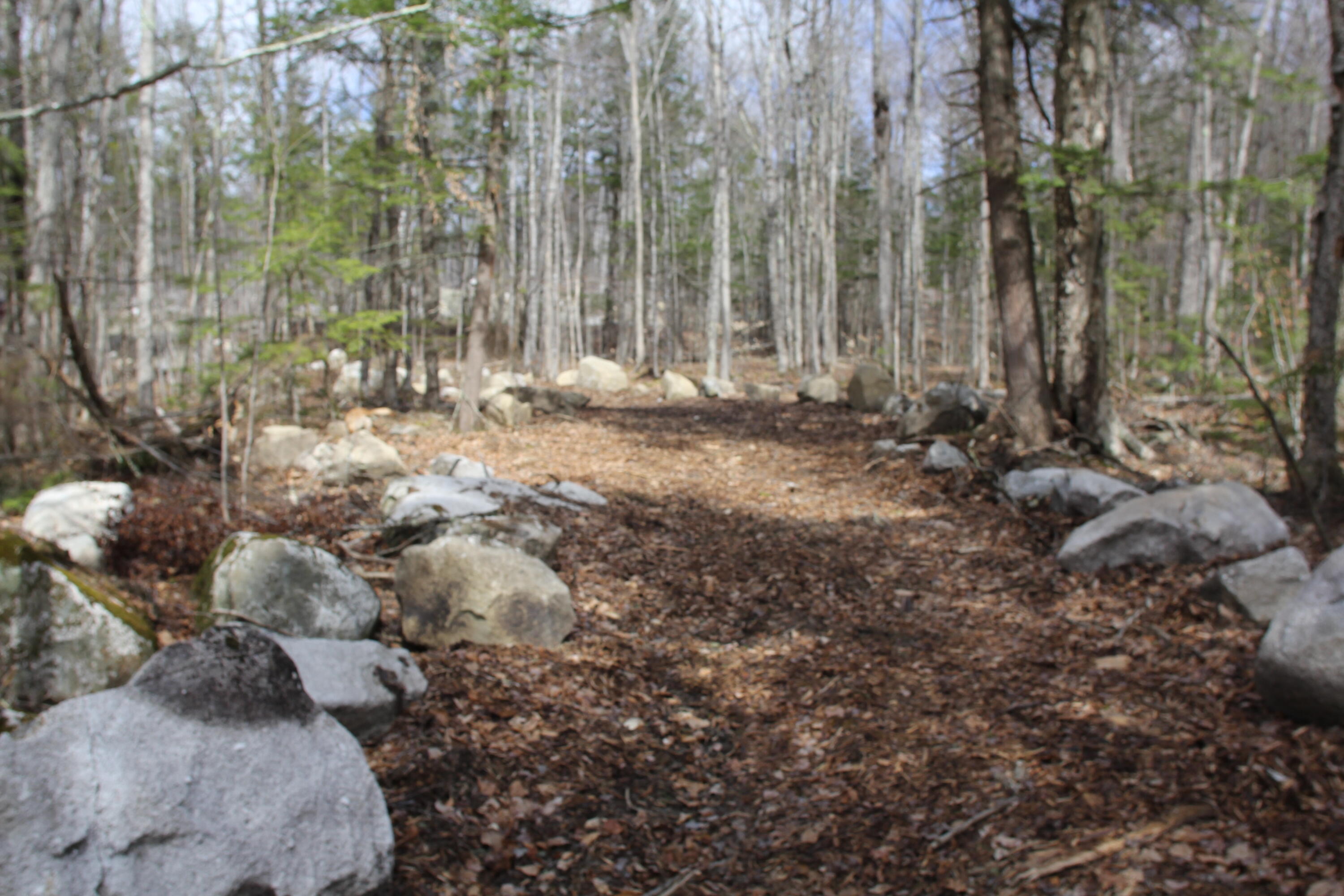 48 Pinnacle Road Canaan, ME 04924 - Photo 10 of 14 IMG_7515