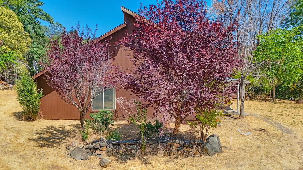 4020 Cold Stream Road Auburn, CA 95602 - Photo 8 of 86